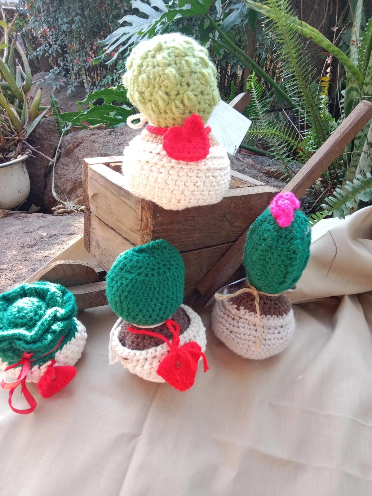 Crochet cactus
