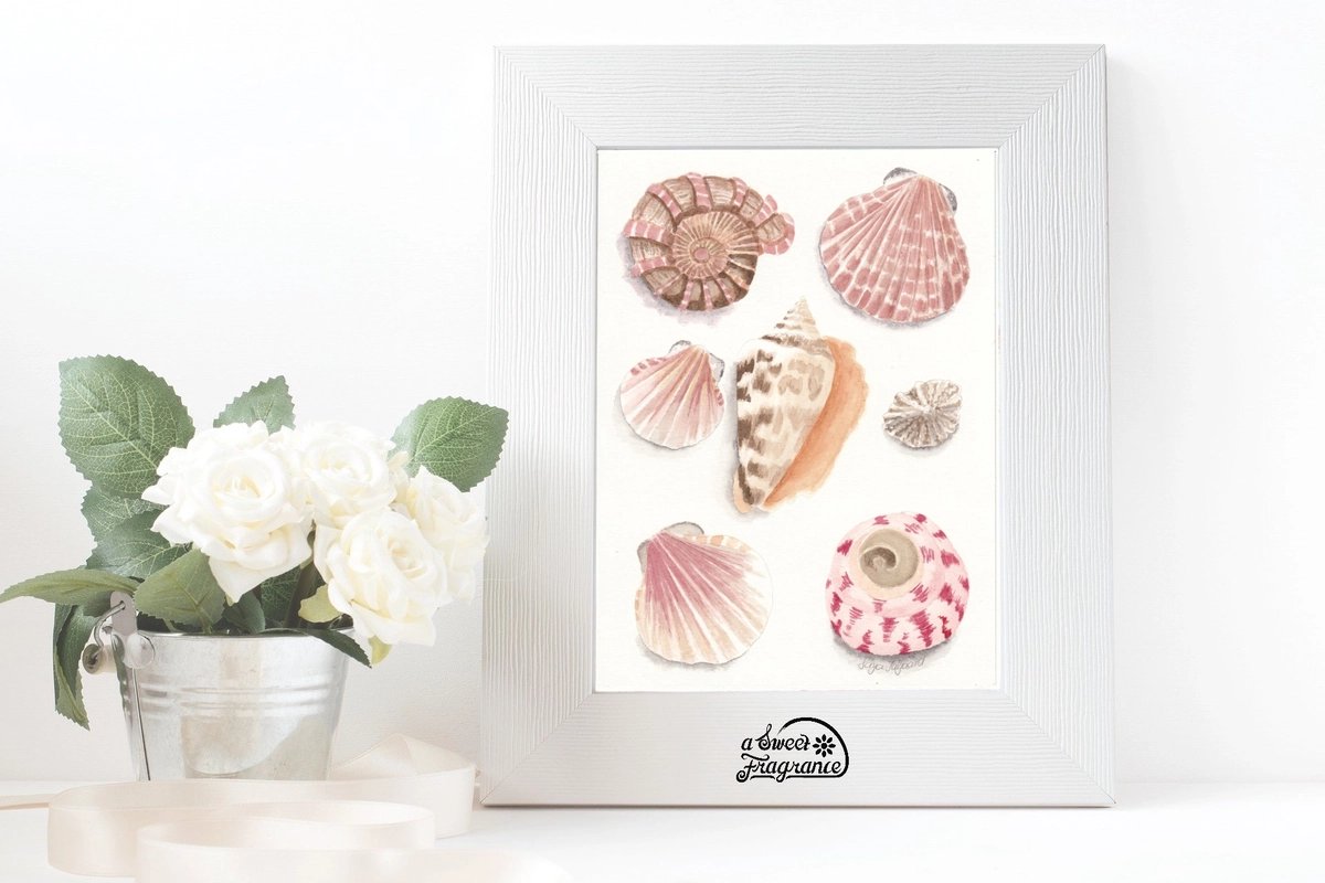 Sea shells watercolour art print 2