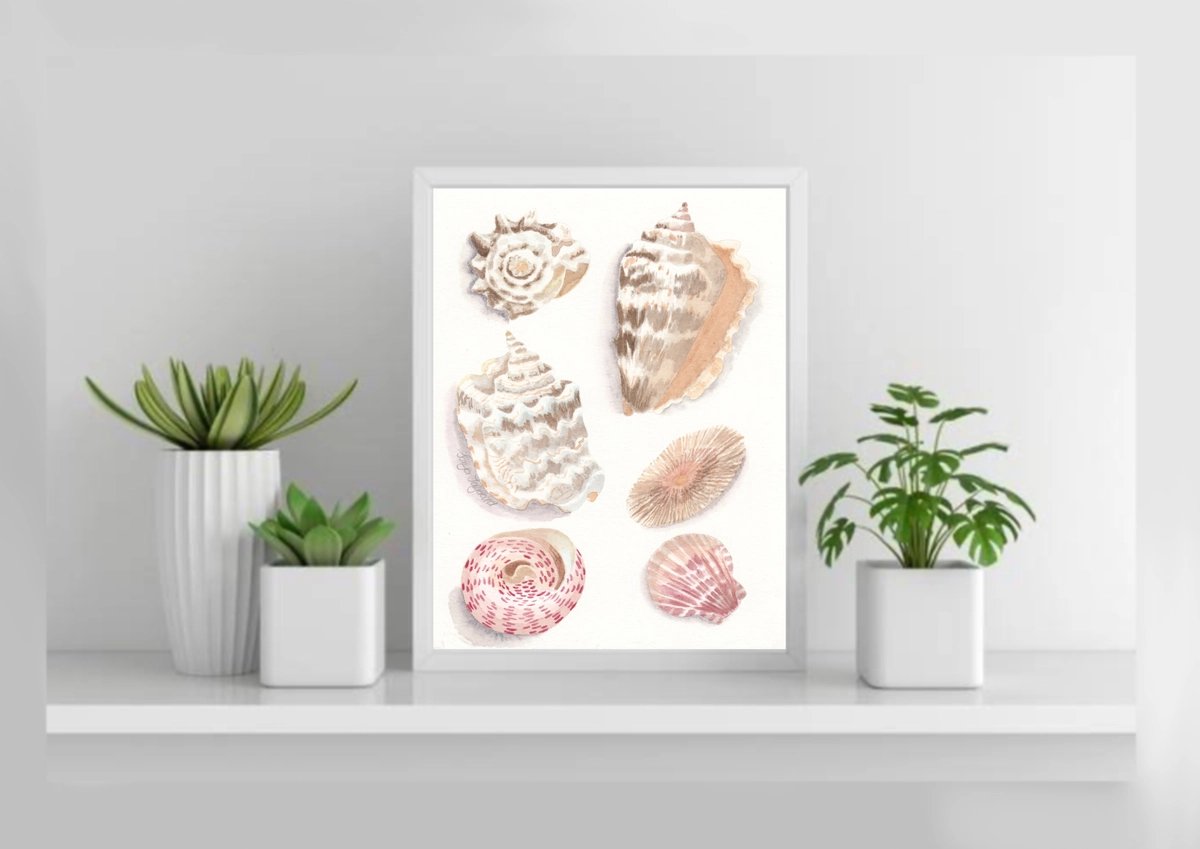 Sea shells painted in watercolour 3