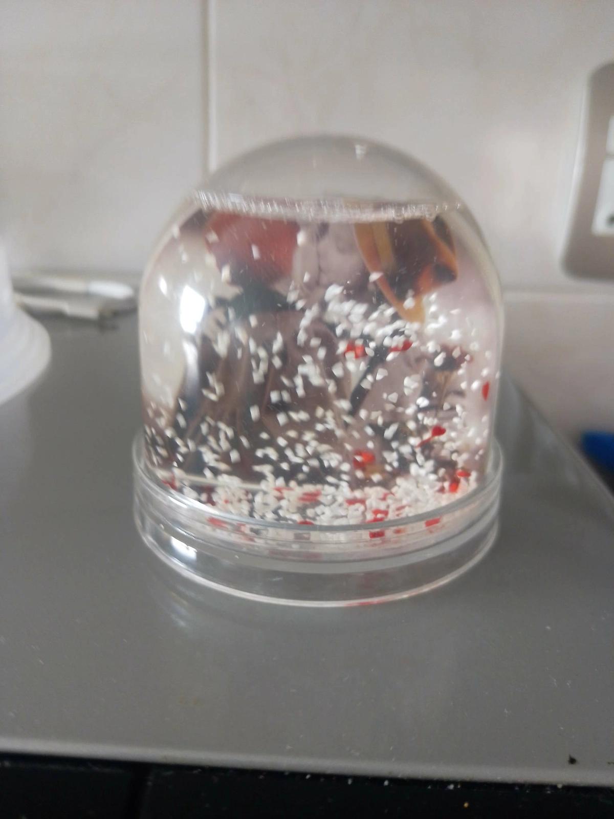 Snow globe. Personalized. Mothers Day