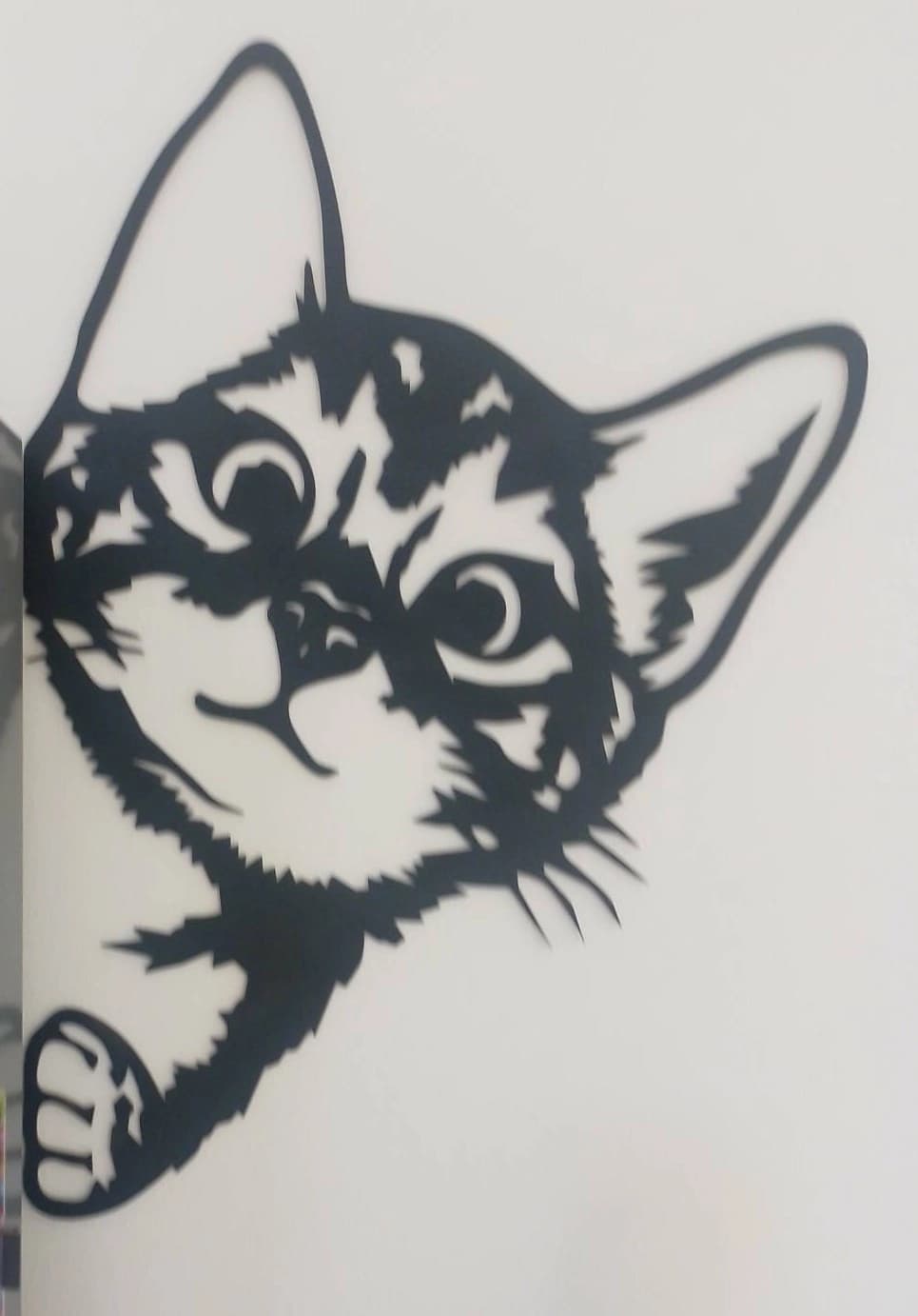 Wall art - peeping kitten