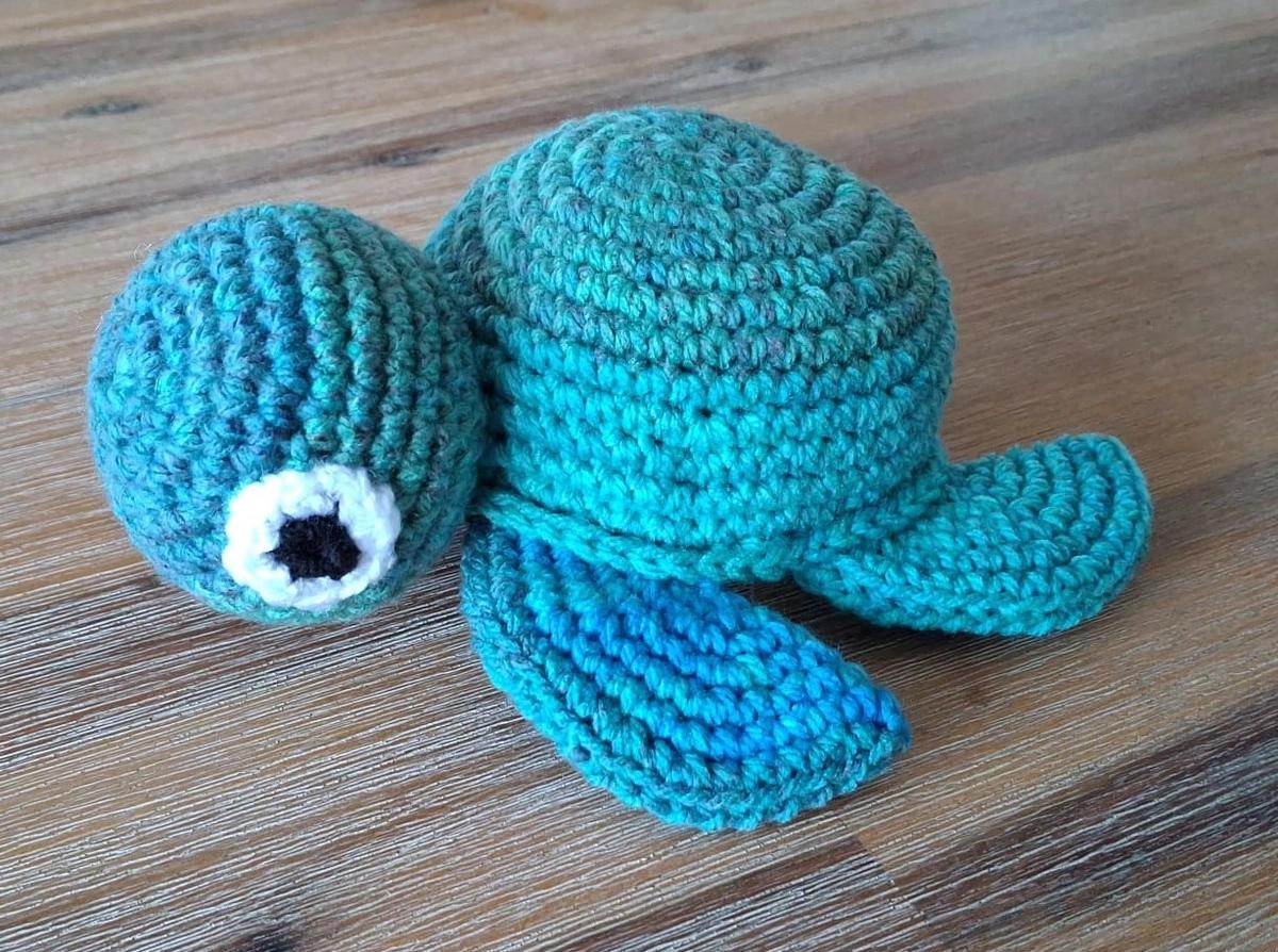 Nori the Sea Turtle