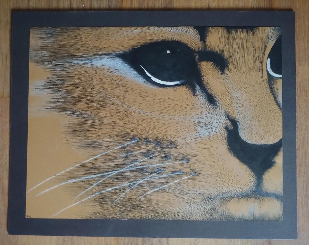 Close up of cat painting