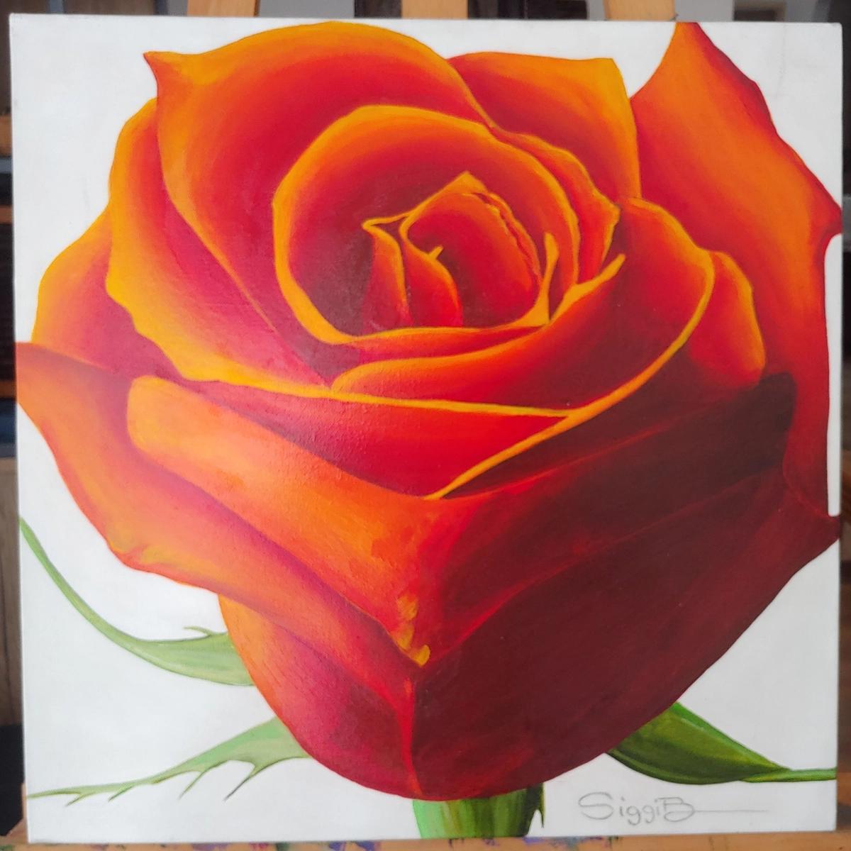 Orange Rose Painting
