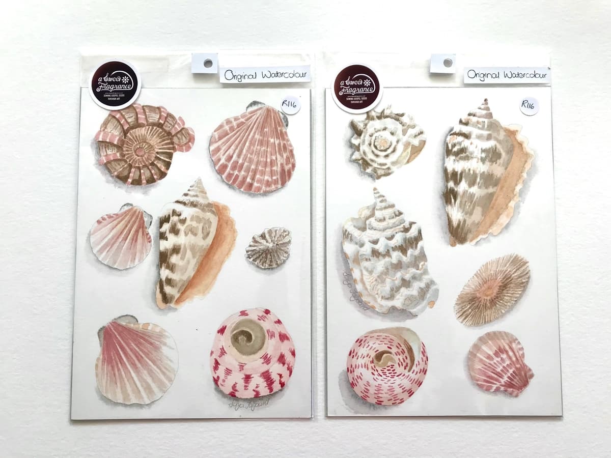 Hand painted Sea Shells