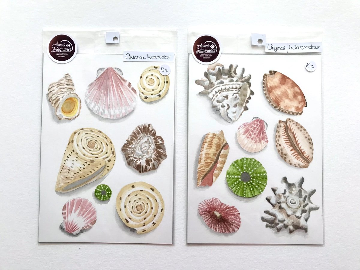 Hand painted Sea Shells bundle