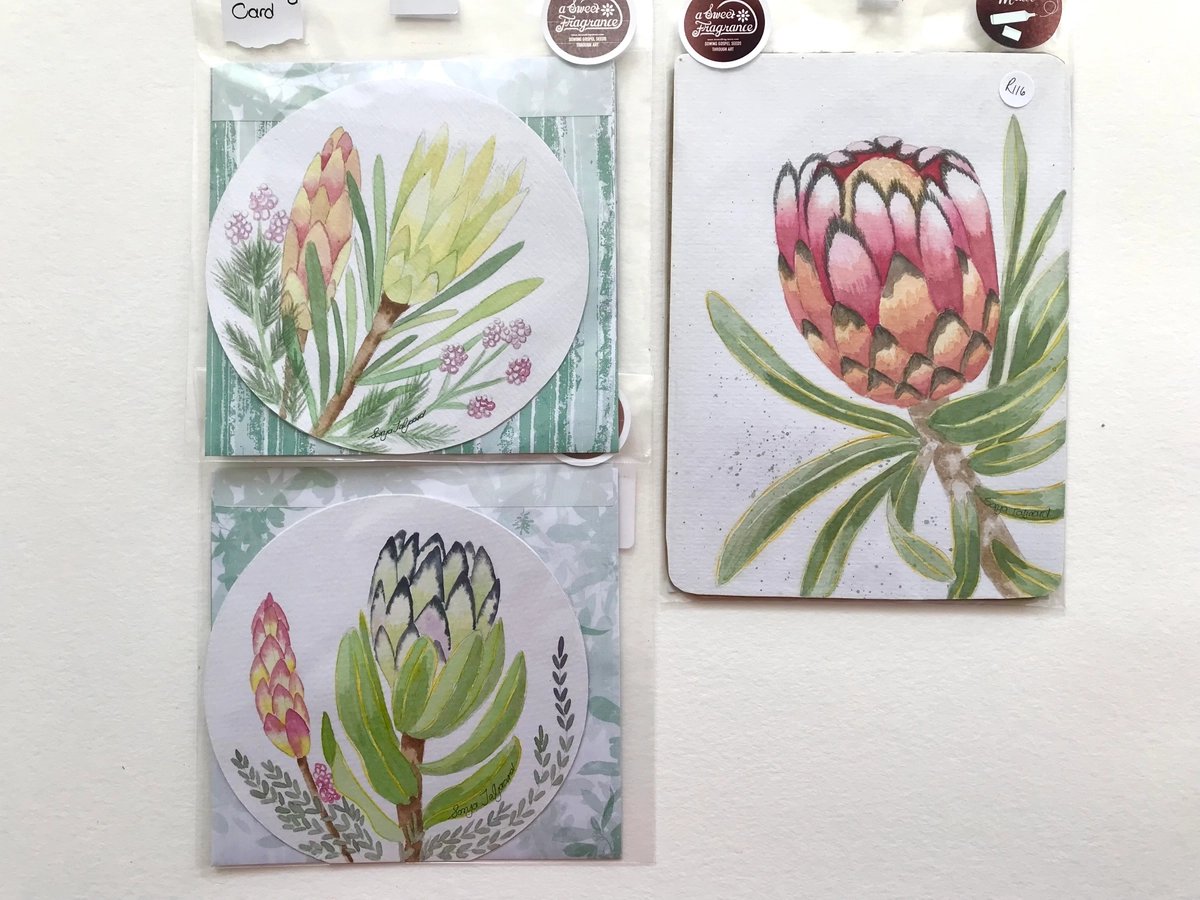 Protea Greeting Cards and Painting Bundle